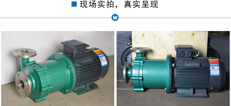 CQ不銹鋼磁力泵