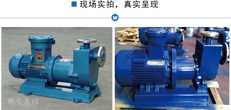 不銹鋼磁力自吸泵