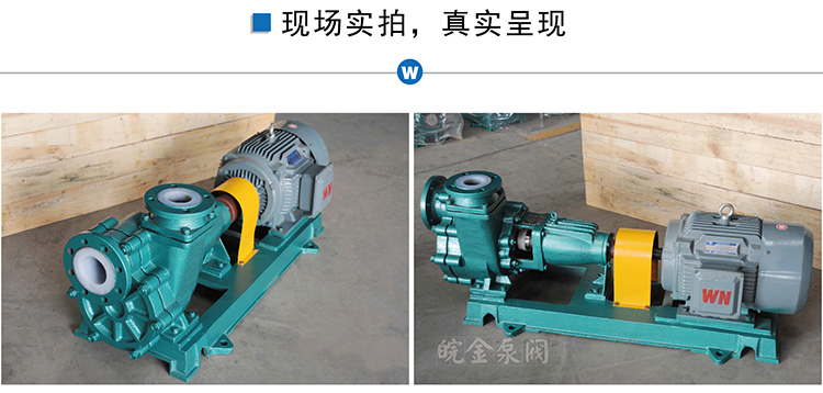 氟塑料離心自吸泵圖片